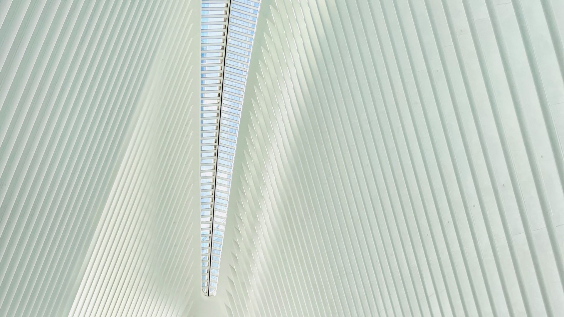 The Oculus building in New York, featured here, symbolizes Maarten Draye’s global perspective and commitment to clarity in complex legal environments. Its architectural precision mirrors Draye’s approach to arbitration and litigation.